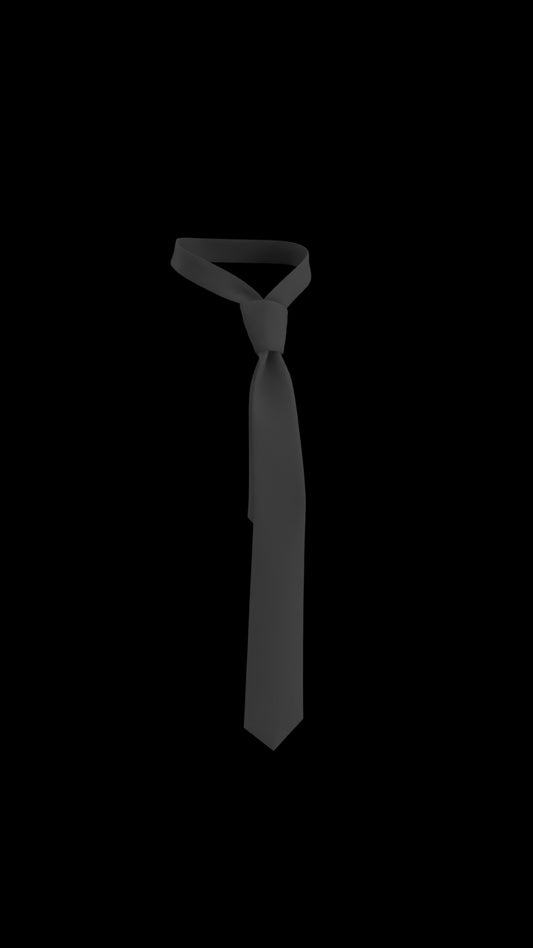 3D Tie Mock-up Fully Customisable Read description❗️